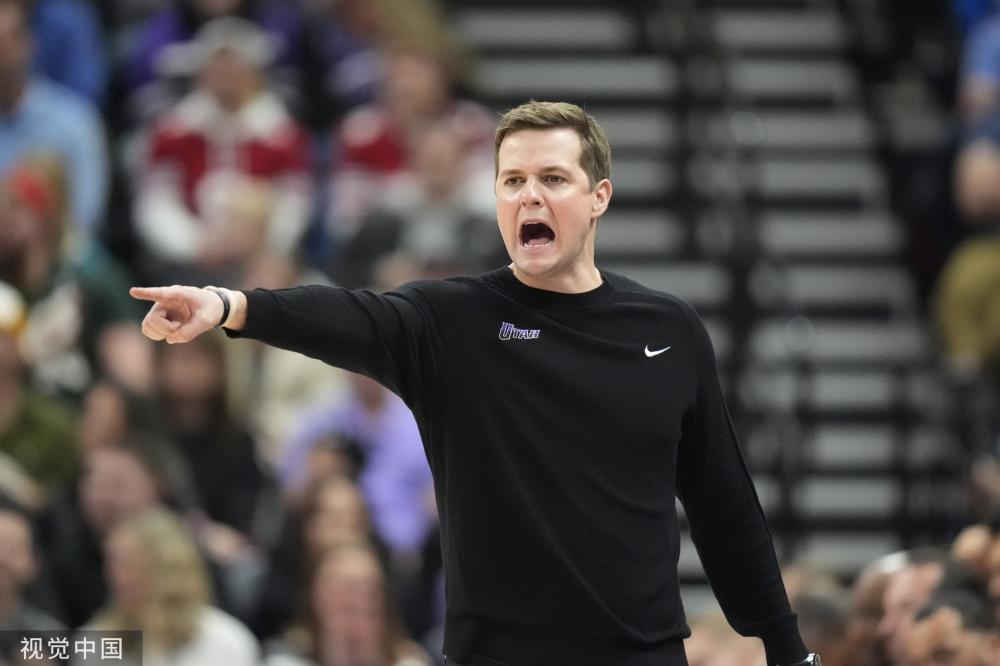 德国足球的 德国足球的