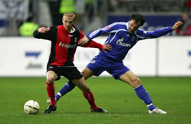 来的发展提 来的发展提